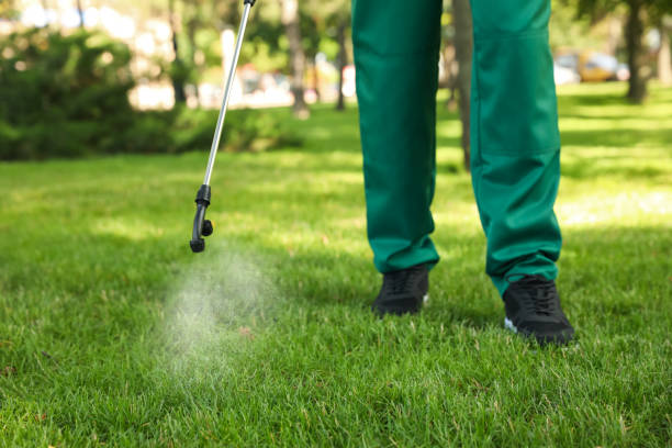 Best Ant Control Services  in Ten Mile Run, NJ