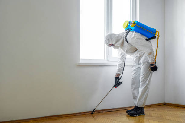 Best Cockroach Control Services  in Ten Mile Run, NJ