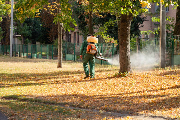 Spider Control Near Me in Ten Mile Run, NJ