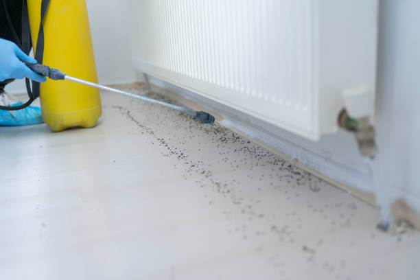 Best Pest Prevention Services  in Ten Mile Run, NJ