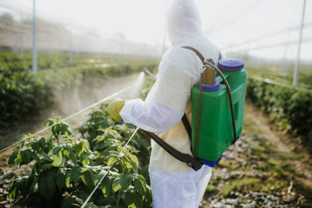 Best Best Pest Control Companies  in Ten Mile Run, NJ